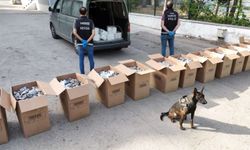 TAG Otoyolu'nda Nefes Kesen Operasyon!