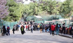 Gaziantep Doğal Yaşam Parkı’nda Yırtıcı Adası Heyecanı