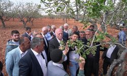 Zirai Don Gaziantep’i Vurdu: Başkan Bayraktar Sahada