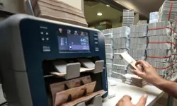 2 yeni banka kuruluyor!