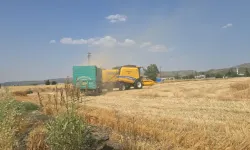 Gaziantep’te Toprak Anadan Rekolte Beklentisi