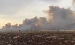 Araban’da Yüzlerce Dönüm Buğday Küle Döndü