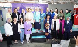 Hatay Canlanıyor, Yaralar Sarılıyor
