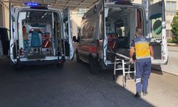 Çobanların Tartışması Hastanede Bitti