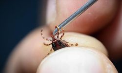 KKKA Aşısında Umut Veren Gelişme