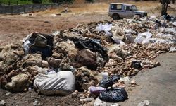 Gaziantep’te Kurban Atık Noktaları Nerede?