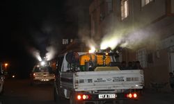 Nizip'te Haşerelerle Mücadele Ediliyor