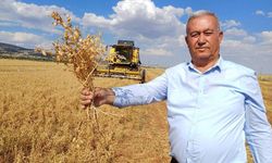 Araban Nohudu Yüz Güldürüyor!