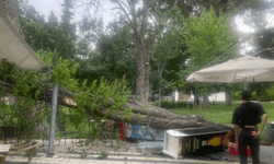 Gaziantep’te Ağaçlar Devrildi, Çatılar Uçtu