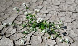 2026 Kışı İçin Ani İklim Uyarısı: Uzmanlar Tedirgin