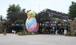 Gaziantep Doğal Yaşam Parkı’nda Minik Sürprizler