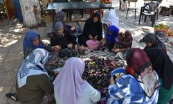 Gaziantep’in Kış Lezzetleri Güneşe Serildi!