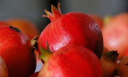 Nar: Tatlı Lezzetiyle Sofraları, Faydasıyla Vücudu Koruyor