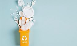 Tek Kullanımlık Plastiklerde Kısıtlama Süreci Başlıyor