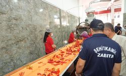 Gaziantep'te Salçacılara Sıkı Denetim