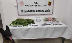 Gaziantep’te Zehir Tacirlerine Ağır Darbe