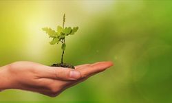 Gaziantep’te Yeşil Alanlara 41’inci Katkı