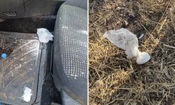 Polis Memuruna Çarpıp Kaçan Şahıs Yakalandı