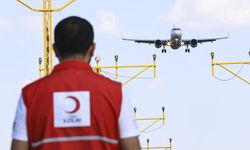 Altın Kan Nedir? Neden Önemlidir?