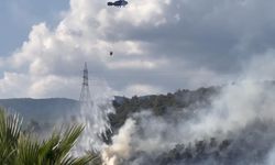 Zeytinlik Alanda Yangın Çıktı
