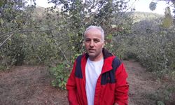 Ayıyla Göz Göze Geldi, Kaçmaya Fırsat Bulamadı!