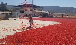 Gaziantep'te Acı Mesaisi Başladı!