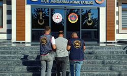 Gaziantep’te Hırsızlık Suçundan Aranan Zanlıya Jandarma Darbesi