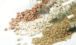 GAİB'ten Dev İhracat