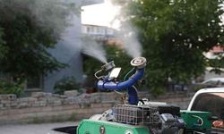 Gaziantep Mahallelerinde Böcek Kabusu
