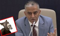 Gaziantep’te Eşek Eti Polemiği Büyüyor! Başkanın Lafları Veriler İle Çelişti!