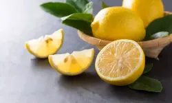 Limon Çekirdeklerinin İnanılmaz Kullanım Alanları