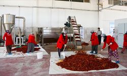 Gaziantep'te Salça Sezonu Açıldı