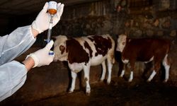 Gaziantep’te Karantina Sürüyor, Endişe Büyüyor