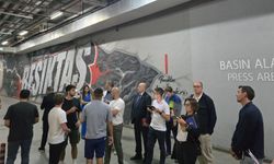 UEFA’dan Beşiktaş Park’a İnceleme