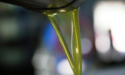 Sağlığınızı Destekleyecek 6 Faydalı Yağ