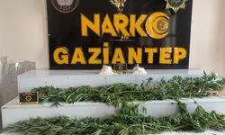 Gaziantep’te Dev Narkotik Operasyonu