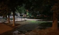 Gaziantep’te Park Cinayetinde İki Tutuklama