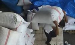 Gaziantep'te 535 Kilo Fıstık Hırsızlığı: Polis Kıskıvrak Yakaladı