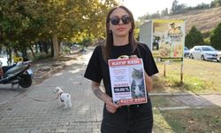 Kayıp Kediye Rekor Ödül