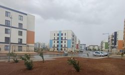 Araban’a Ekim Yağmuru Bereket Getirdi