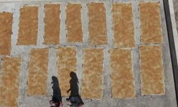 Üzümden Güneşe: Gaziantep Pestilinin Zahmetli Yolculuğu