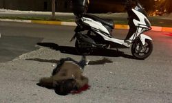 Sırtındaki Bıçakla Motosiklete Bindi, Hayatını Kaybetti
