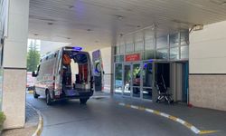 Türkiye'de “Deli Dana” Hastalığı Tespit Edildi