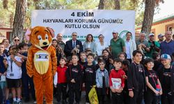 Hayvan Dostu Gaziantep’ten Örnek Etkinlik