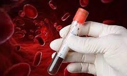 En dayanıklı kan grubu belli oldu