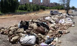 Atıklar Temizleniyor, Denetimler Artıyor