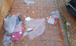 Gaziantep’te Utandıran Görüntüler!