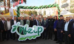 Nizip’te Zeytin Festivali Coşkusu Başladı