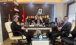 Sağlık Hizmetlerine Erişim Masaya Yatırıldı