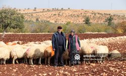 Belediyeden Destek, Çifte Yeni Hayat